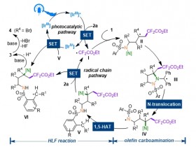 韩丙教授课题组：通过腙的N-N键自由基解构实现烯烃的碳胺化和Hofmann-Löffler-Freytag反应的融合