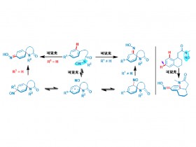 刘强教授课题组：芳烃1,2-或1,4-选择性去芳构氨肟化反应