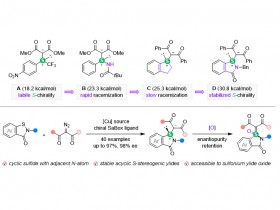 王少华教授团队：稳定手性氨基硫叶立德的设计及催化不对称合成